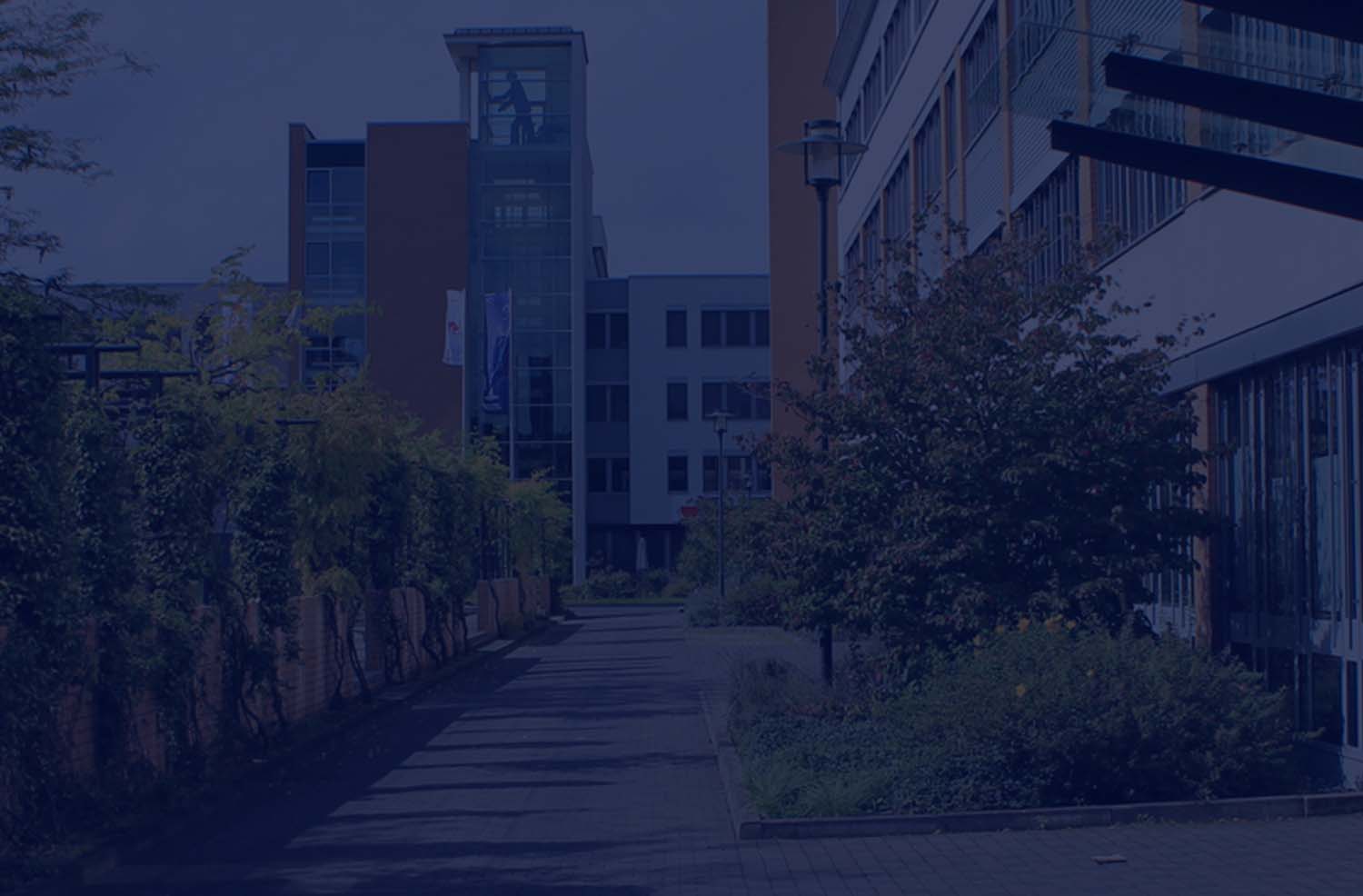 Quick English For IT Job Interviews: Why do you want to leave your current company?